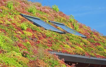 Great Sampford living roof systems