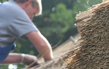 professional Great Sampford thatchers